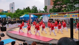 한국체대양지태권도