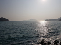 백야 블루베리 민박