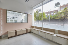 분당밝은아이동물병원