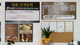 롤로코리아 대현점