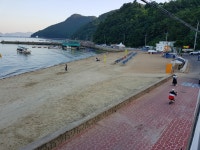 야생화민박