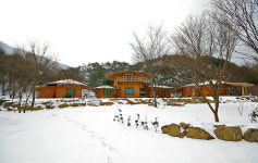 나이테펜션 커플/가족/단체/계곡/수영장/군면회/수료식