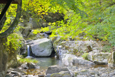 곰사냥을떠나자