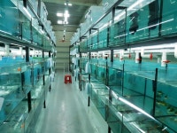 서진열대어직판장 부산본점