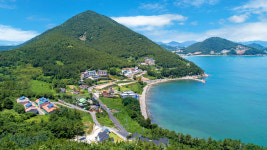더킹 스파펜션
