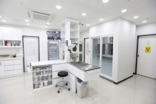 닥터캣고양이병원