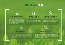 금시조 영월죽염