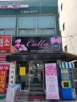 카라네일샵
