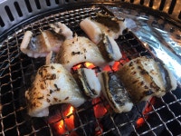 한마당 통영숯불 장어구이