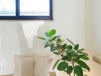 세탁소커피 청림