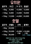 도그비잉펫케어