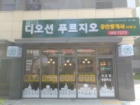 디오션푸르지오공인중개사사무소