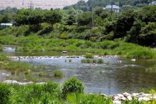 수미천민박