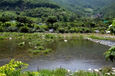 수미천민박