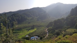 골부농장