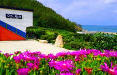 청산도ok펜션