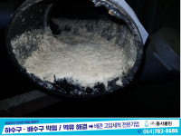 동서클린