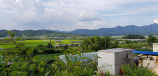 대추불꽃농장