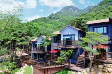 더파인힐펜션