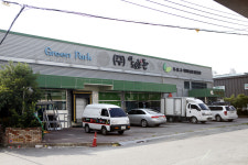 도도한돈