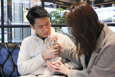 미니펫 강아지분양 고양이분양 수원점