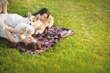 미니펫 강아지분양 성수점