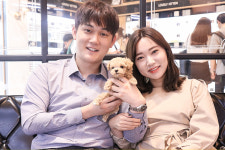 미니펫 강아지분양 고양이분양 수원점