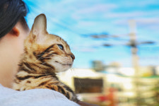 미니펫 강아지분양 성수점