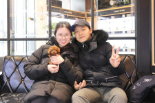 미니펫 강아지분양 고양이분양 수원점