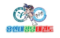 용인대청당태권도장