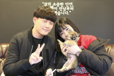 미니펫 강아지분양 고양이분양 부천점