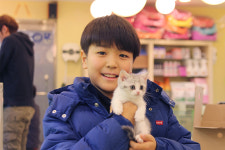 미니펫 강아지분양 성수점