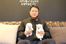 미니펫 강아지분양 고양이분양 부천점