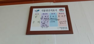 산초마을