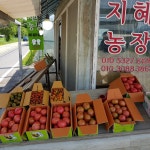 지혜농장
