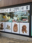 BOK애견용품