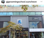 순천국제애견미용학원