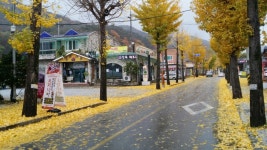 깊은산속화로구이