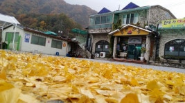 깊은산속화로구이