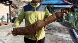 문경지기농원