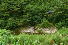 자작나무 숲 가는 길 펜션