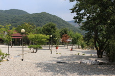 에버그린캠핑장