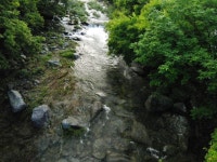 스위스밸리펜션