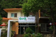 소나무식당