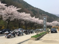 클럽멤피스 글램핑앤리조트