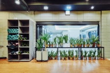 스타디온 판교 크로스핏
