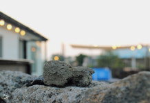 경소하라하우스