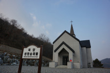 생명숲채플