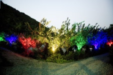 살구나무글램핑