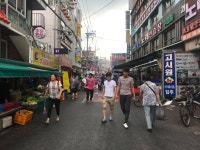 뉴대림고속관광 주식회사 | 대림여행사